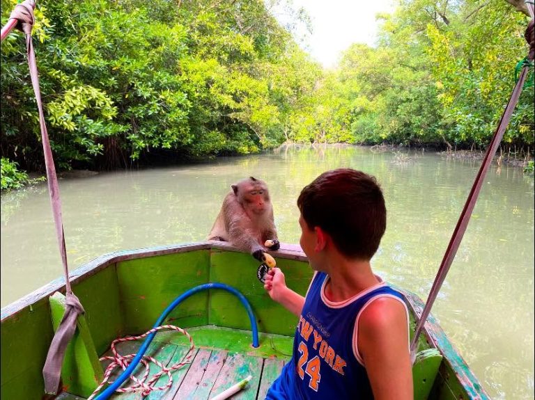494201096_1224778329653596_1441508701643273439_n