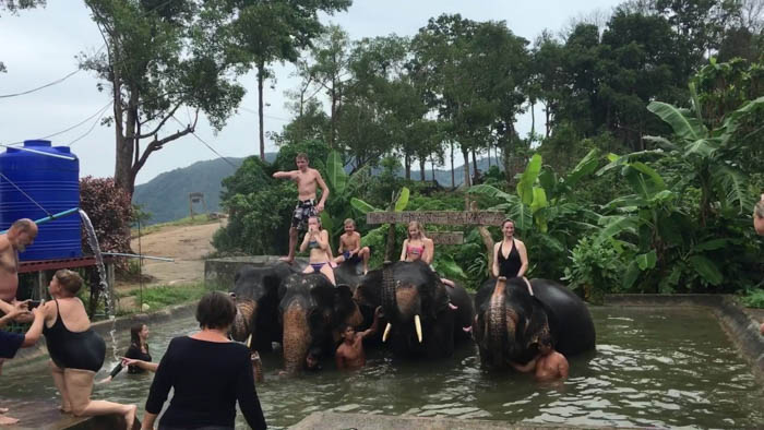 Elephant Camp3