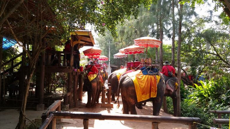 Elephant Camp6