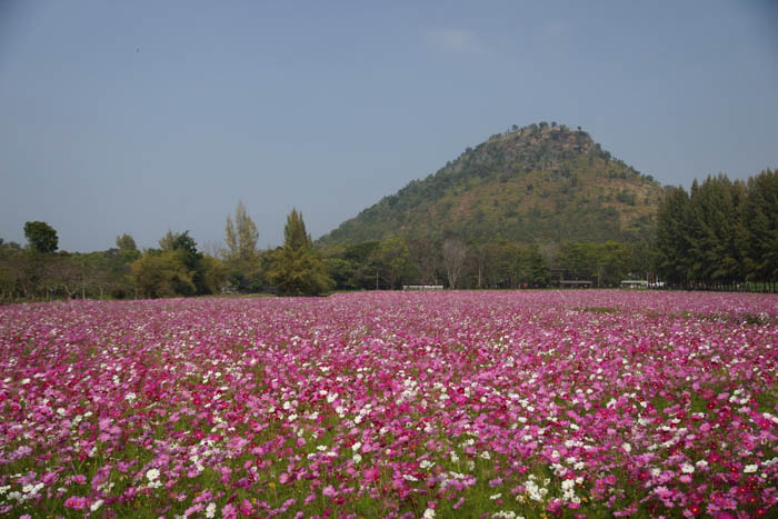 Khao Yai Mountains2