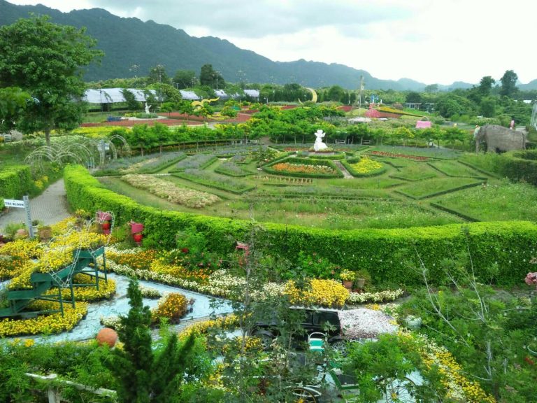 the bloom khao yai3